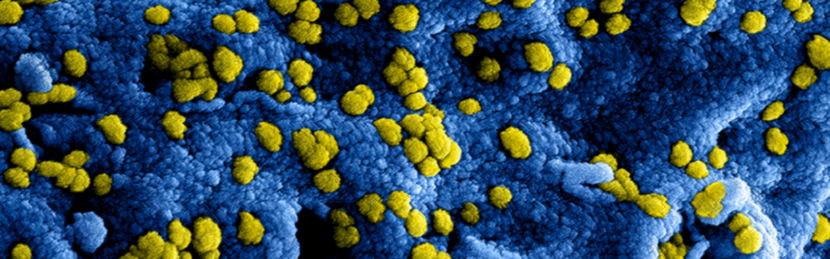 Coronavirus header