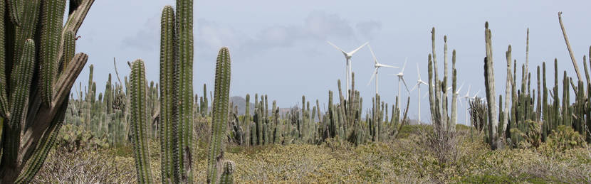 Windmolen Bonaire