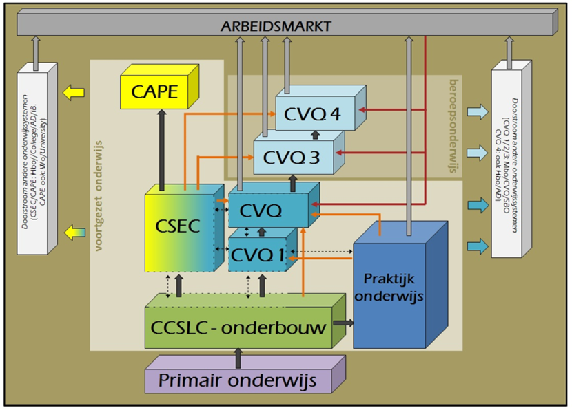 CXC Onderwijssysteem schema